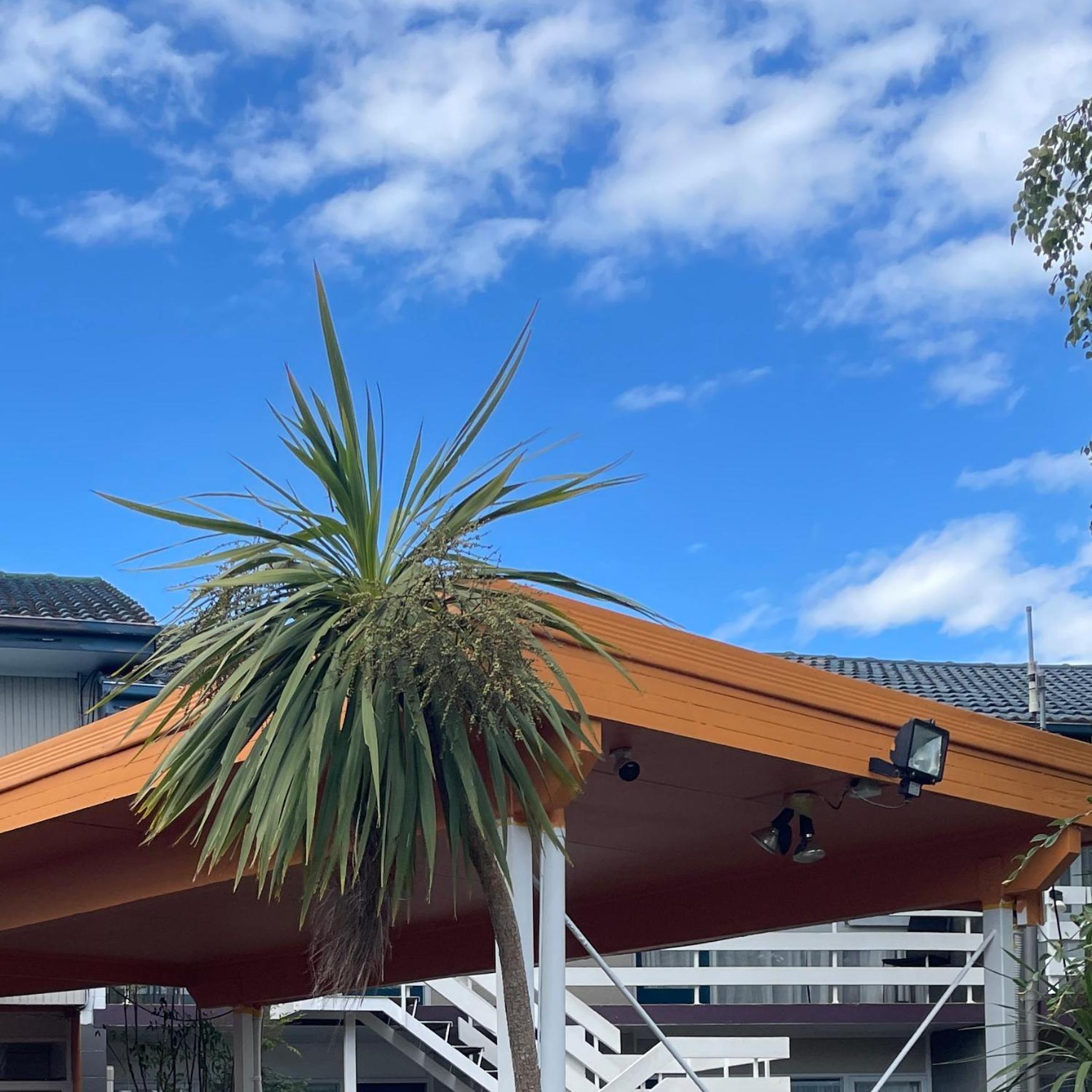 Mount Eden Motel Auckland Dış mekan fotoğraf