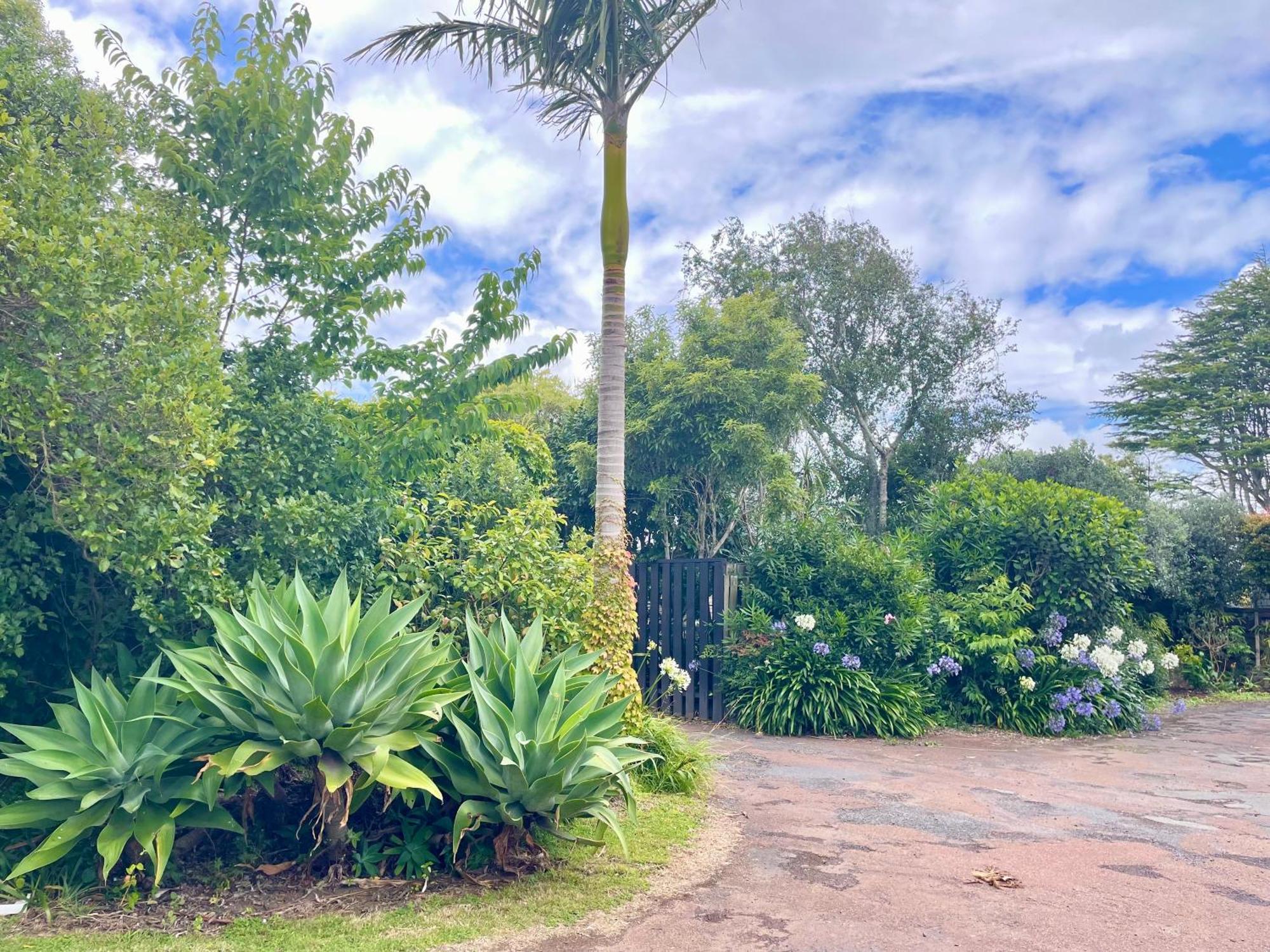 Mount Eden Motel Auckland Dış mekan fotoğraf